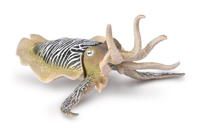 Common Cuttlefish - Collecta – The Canterbury Playcentre Shop